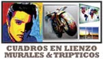 Cuadros en Lienzo - Murales & Trípticos
