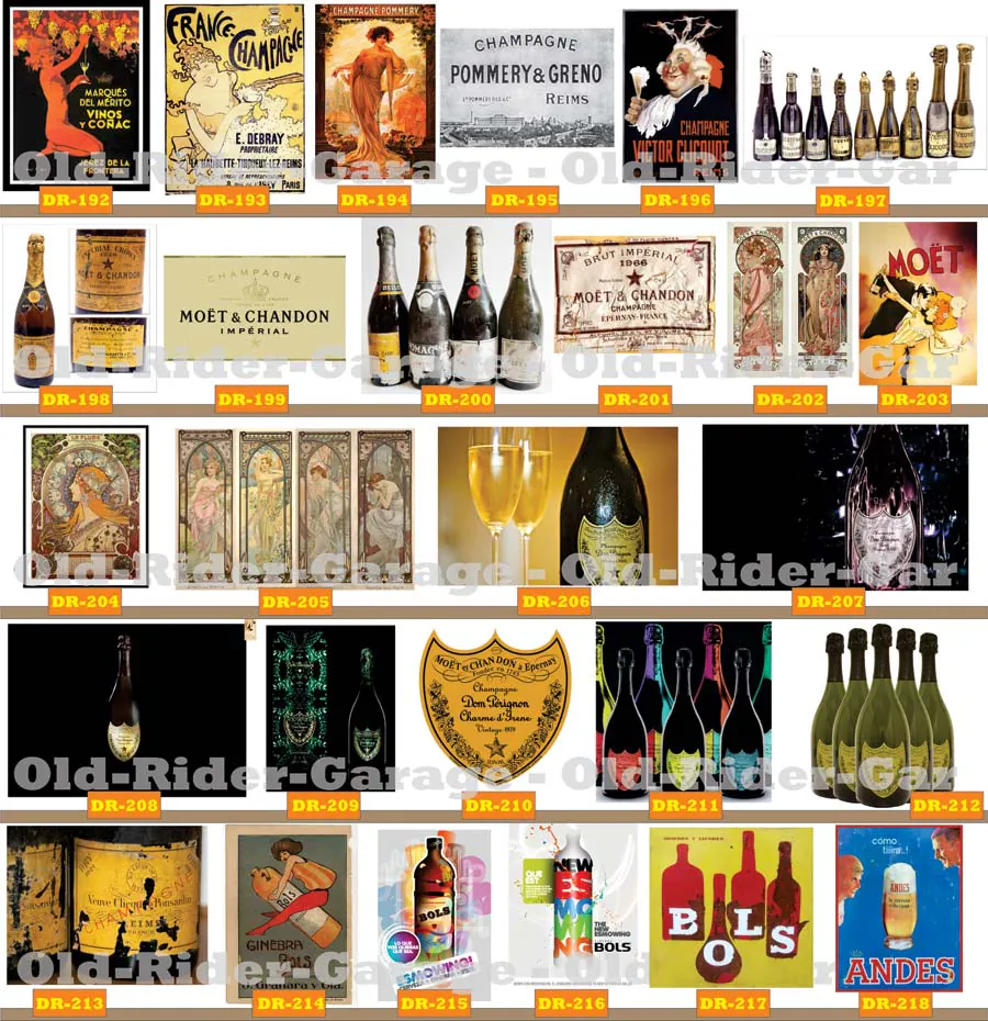 Catalogo impreso 8